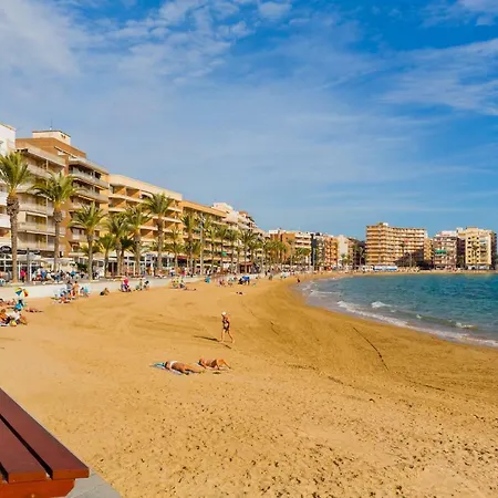 Alegria Id342 Torrevieja